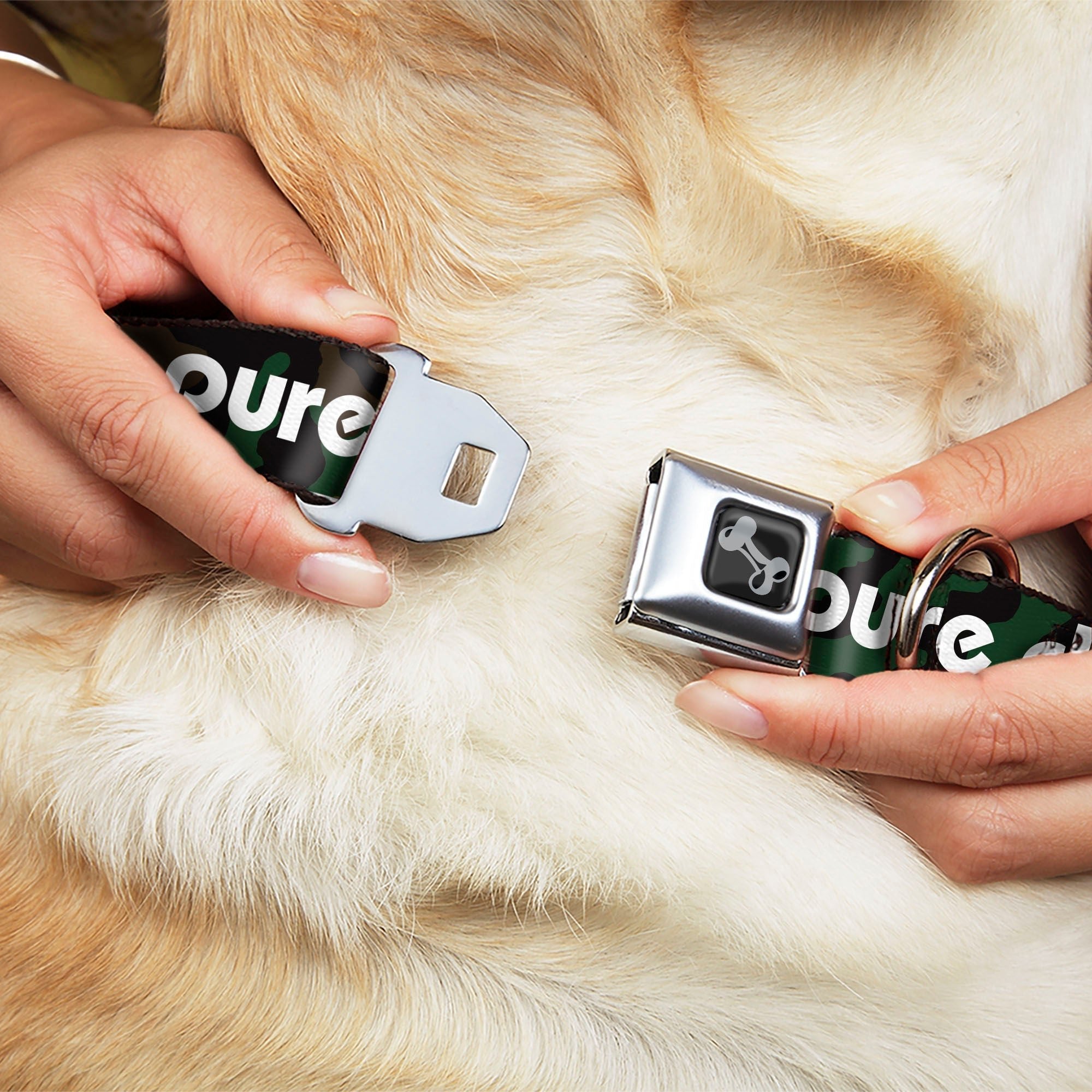 Pure Detroit Seatbelt Buckle Collar - Camo Olive/White Dog Collars