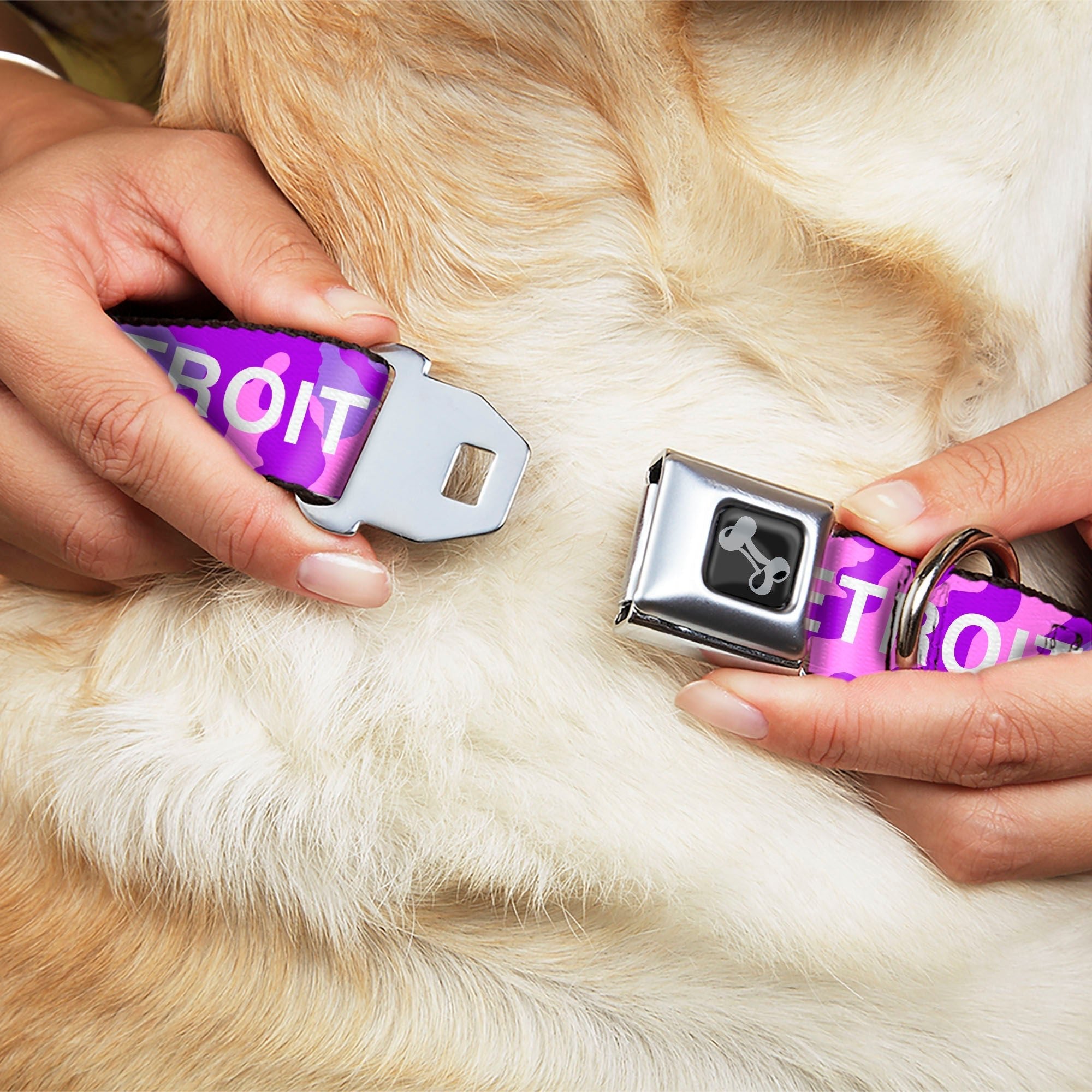 Detroit City Seatbelt Dog Collar - Pink / Purple / White Seatbelt Buckle Collars
