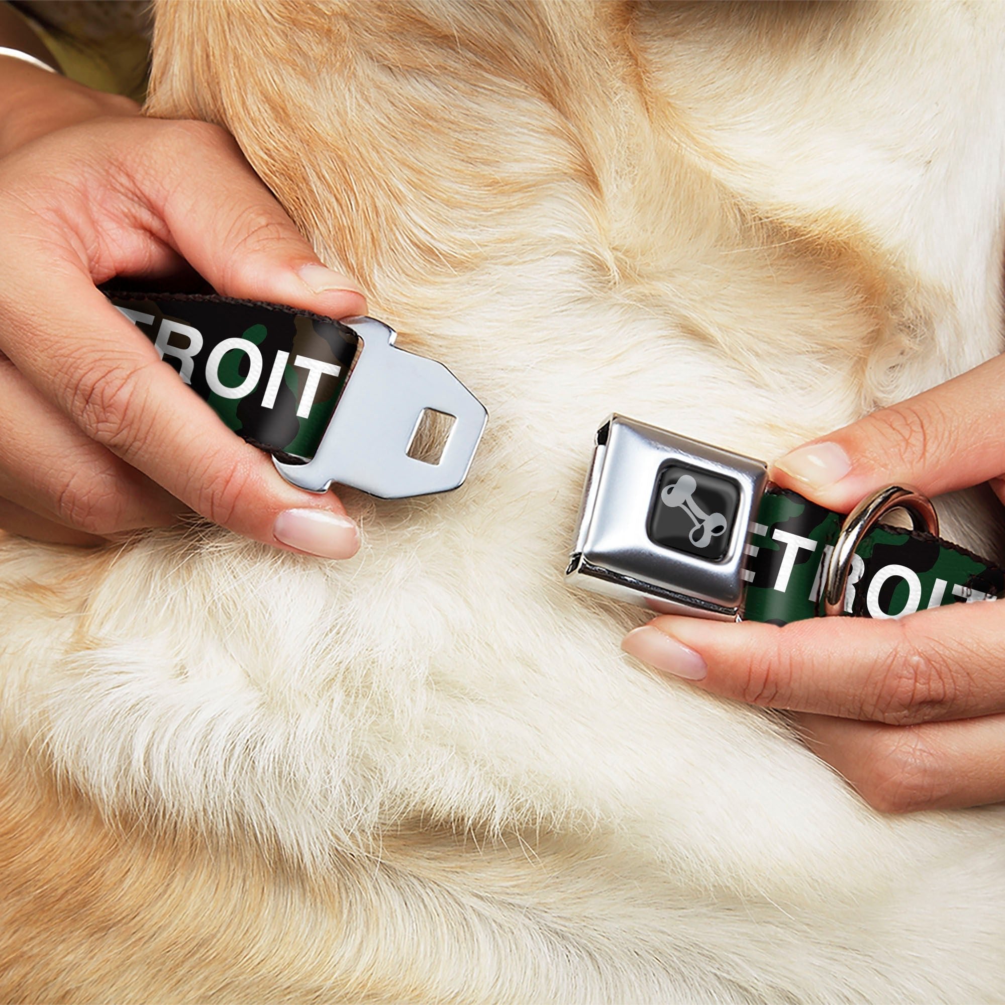 Detroit City Seatbelt Dog Collar - Camo Olive/White Seatbelt Buckle Collars