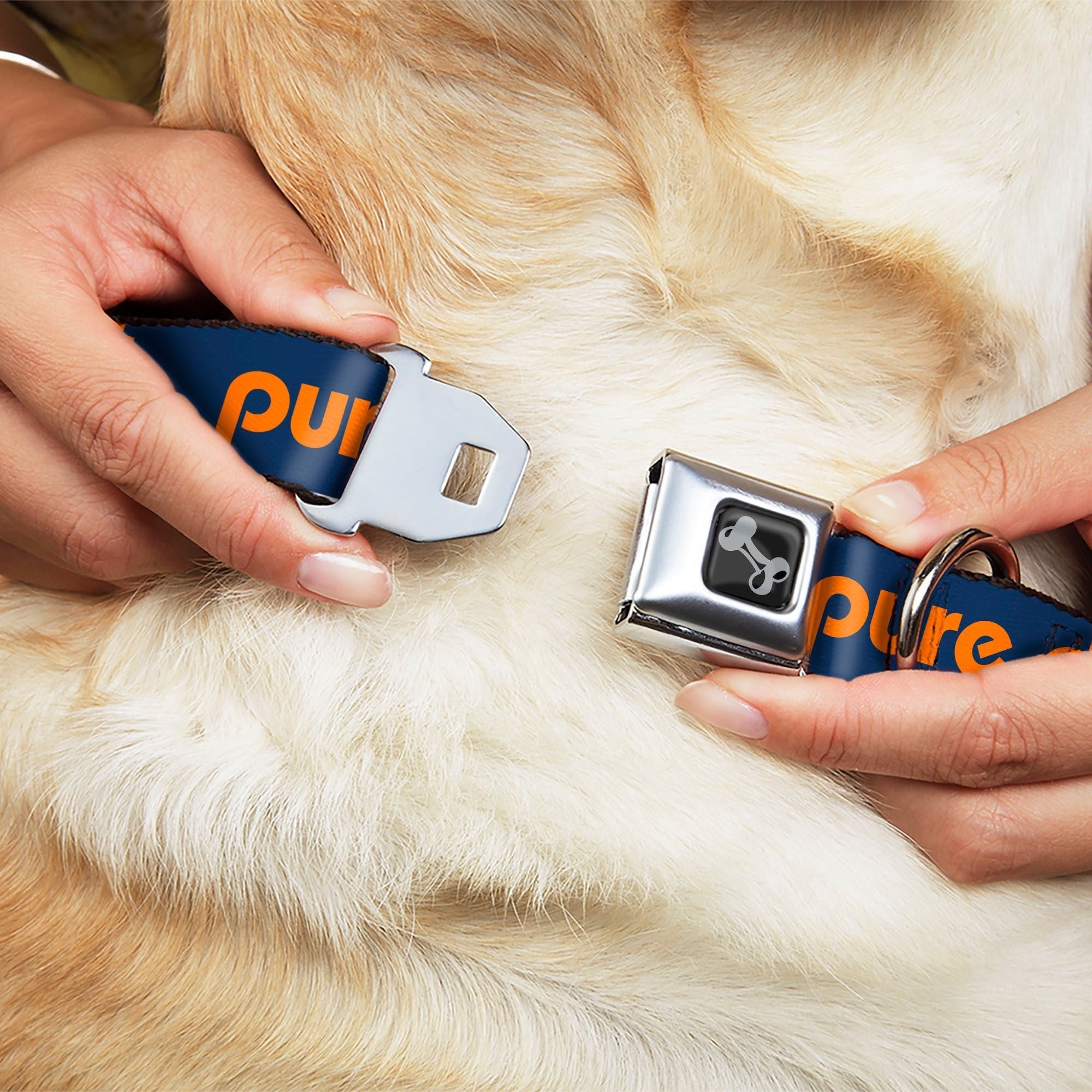 Pure Detroit Seatbelt Dog Collar - Navy / Bright Orange Seatbelt Buckle Dog Collars