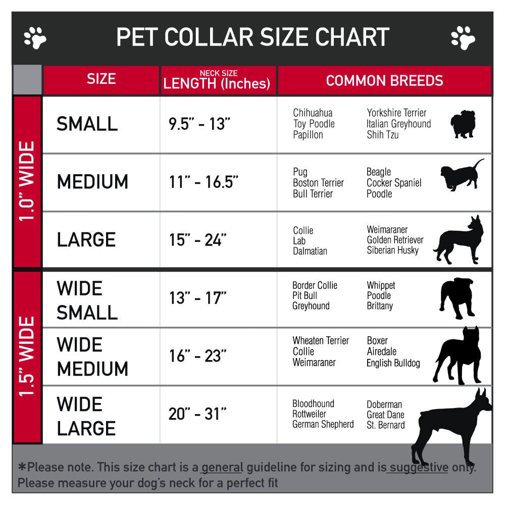 Detroit City Seatbelt Dog Collar - Black / Turquoise / Yellow / Pink Seatbelt Buckle Collars