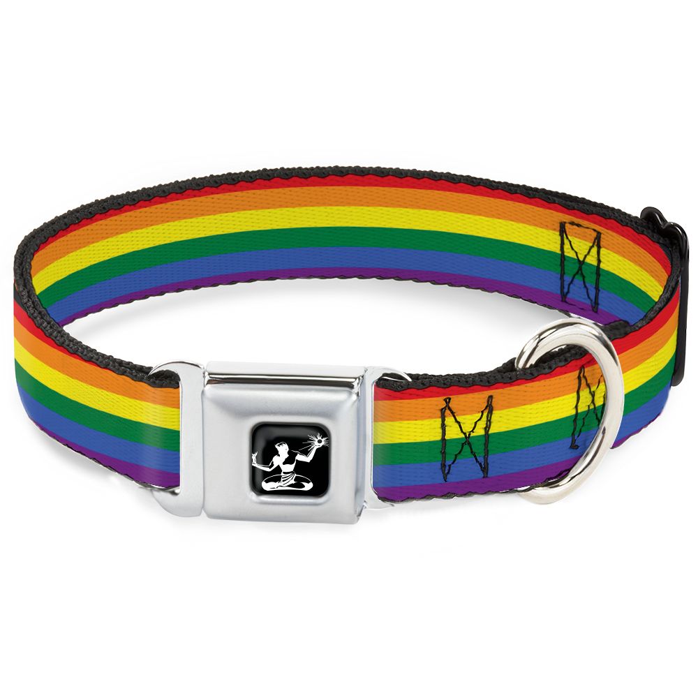 Spirit of Detroit Dog Collar / Rainbow Stripe Dog Collar