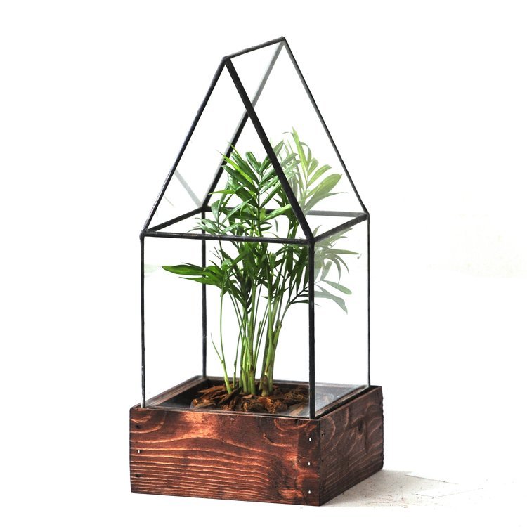 The Cape Cod Terrarium Terrarium