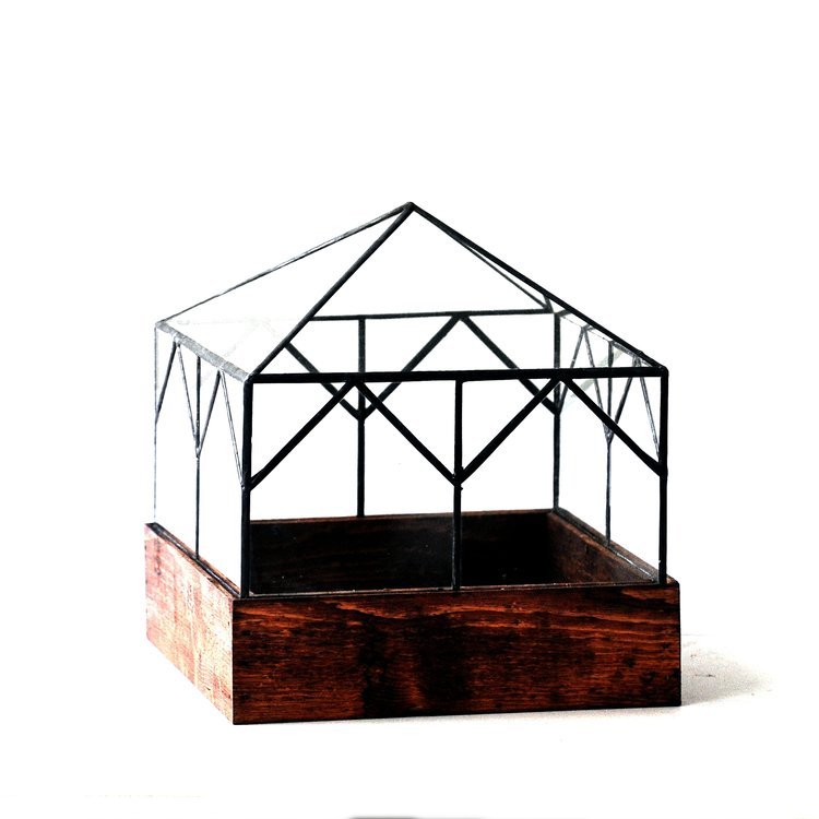 The Cottage Terrarium Terrarium