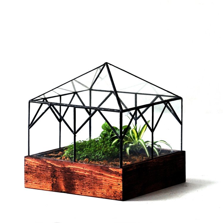 The Cottage Terrarium Terrarium