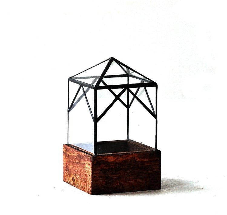 The Ellias Trap Terrarium Terrarium