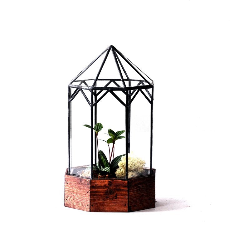 The Gazebo Terrarium Terrarium