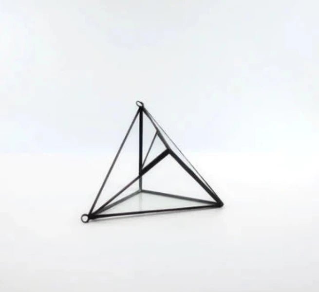 The Geo Terrarium Terrarium