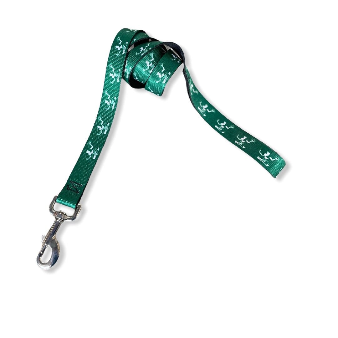 Spirit of Detroit Dog Leash / White + Green Dog Leash