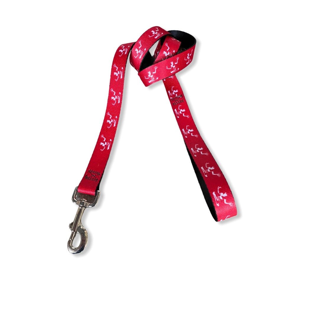 Spirit of Detroit Dog Leash / White + Red Dog Leash