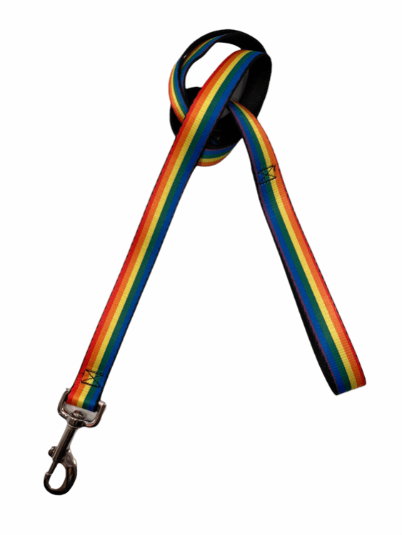 Detroit Dog Leash / Rainbow Stripe Dog Leash