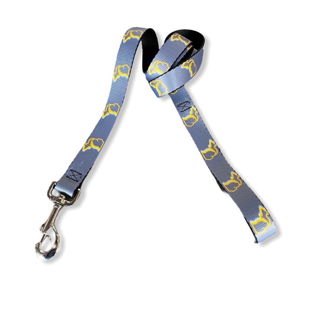 Enjoy Michigan Dog Leash / Yellow + Gray Dog Leash