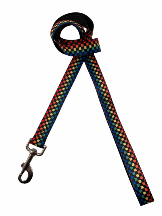 Detroit Dog Leash / Rainbow Checker Dog Leash