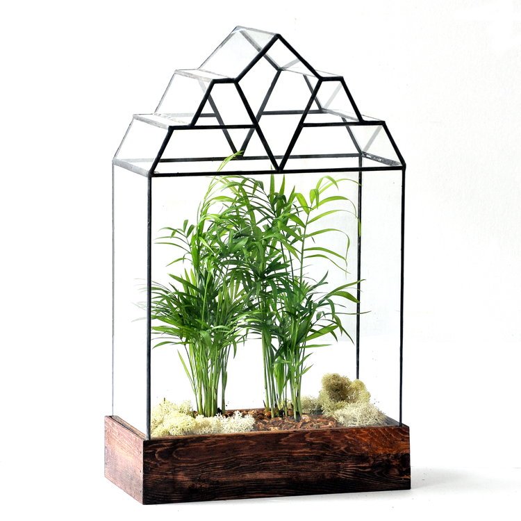 The Mendel Terrarium Terrarium