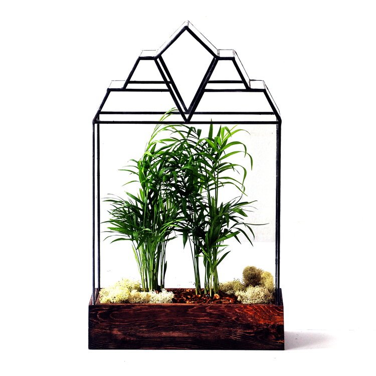The Mendel Terrarium Terrarium