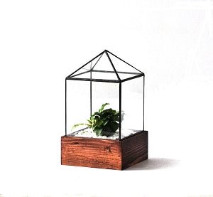 Little House Terrarium Terrarium