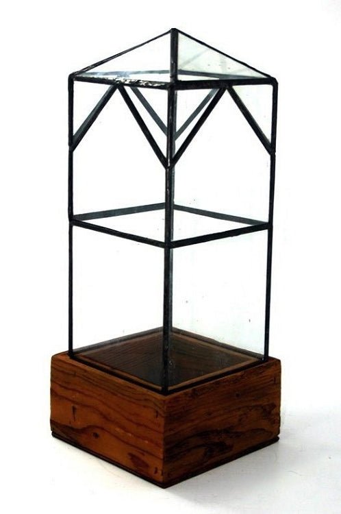 North Tower Terrarium Terrarium