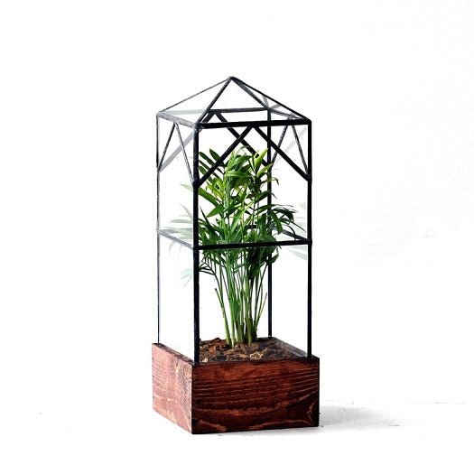 North Tower Terrarium Terrarium