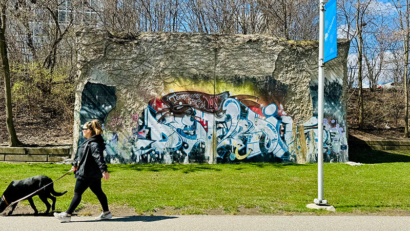 Pure Detroit Blog - Top 10 Things To Do In Detroit. Photo of a mural and a woman walking a dog on a sunny day along the Dequindre Cut 