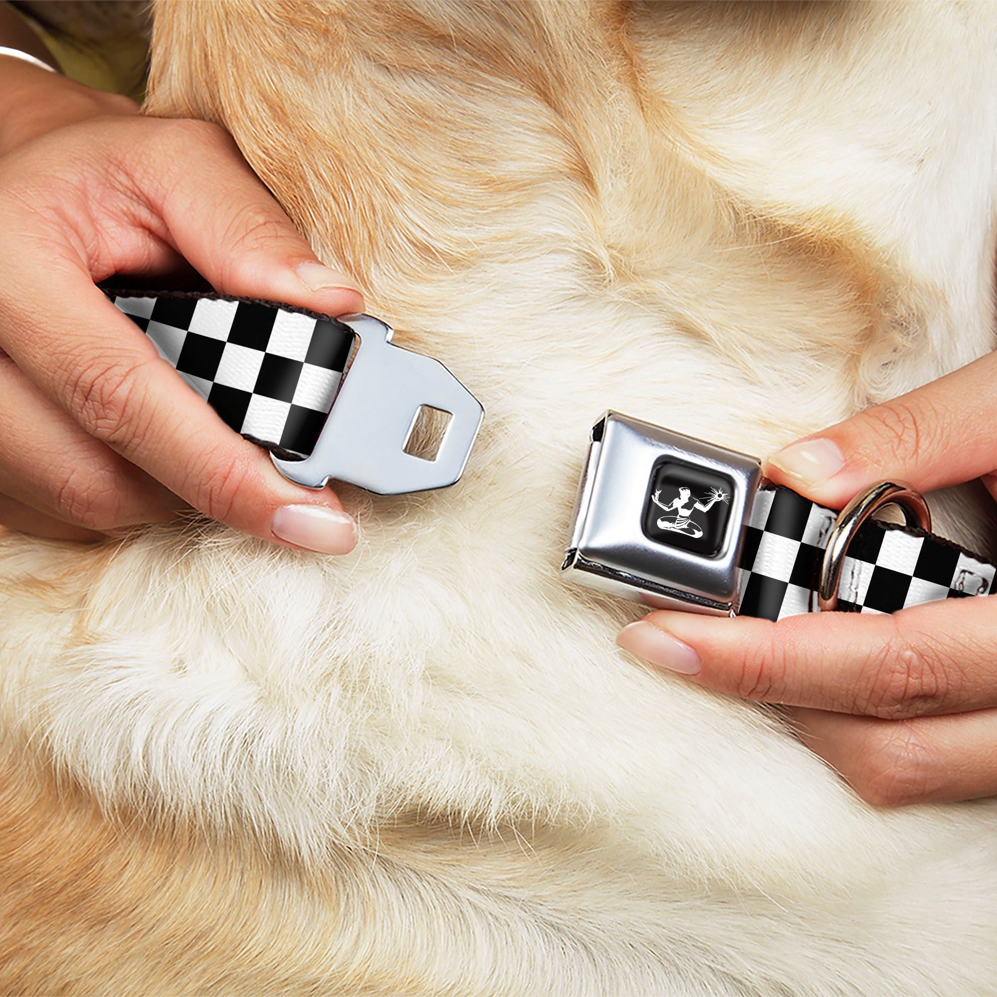 Spirit of Detroit Seatbelt Buckle Dog Collar - Checker Black / White Seatbelt Buckle Collars