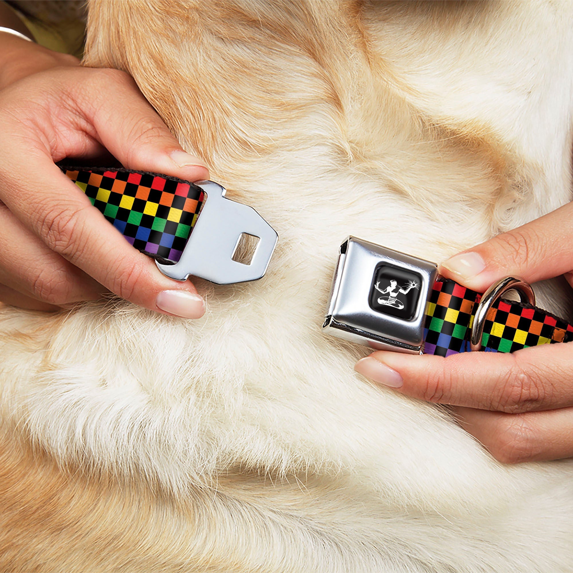 Spirit of Detroit Seatbelt Buckle Dog Collar - Checker Black / Rainbow Multi Color Seatbelt Buckle Collars