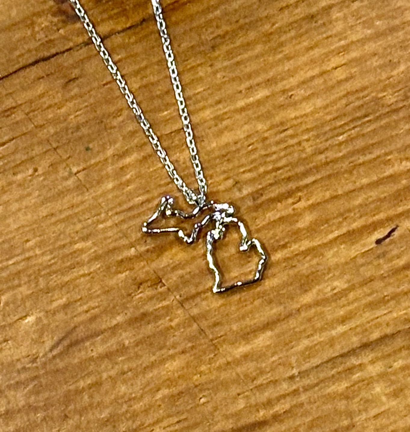 Michigan Dainty Necklace / Silver Jewelry