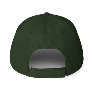 Detroiter Embroidered Low - profile Dad Hat - Dark Green / White - Pure Detroit