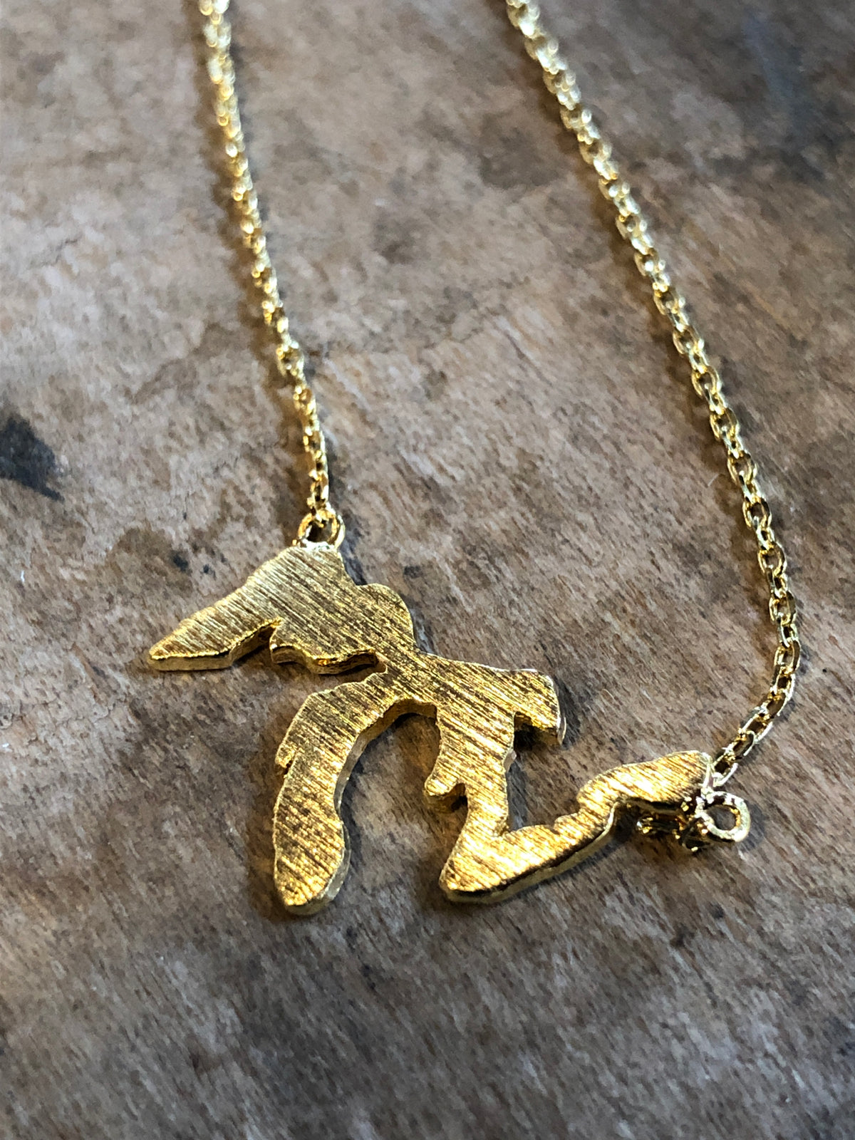 Michigan Great Lakes Dainty Necklace / Gold Jewelry   